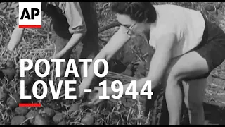 Potato Love - 1944 | The Archivist Presents | #439