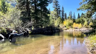 Eric & Mike - Utah Fly Fishing - Uinta Mountain Stream