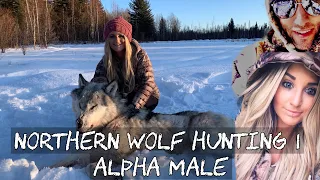 NORTHERN WOLF HUNTING 1