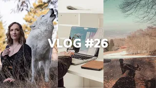 VLOG #26 | FRÜHJAHRSPUTZ, STUDIUMENTSCHEIDUNG, 1. URLAUB MIT HUND & FOTOSHOOTING | coyote diaries