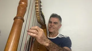 Divino companheiro Harpa paraguaia