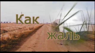 С. Трандафилов -  Как жаль/COVER/