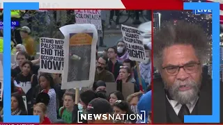 Cornel West argues for ‘consistent morality’ in supporting Palestinian cause | Cuomo