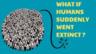 ⚠️ What If Humans Suddenly Went Extinct? | The World - space science