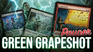 The GREEN Grapeshot! Weather the Storm + Marauding Blight-Priest Storm Combo in MTG Pauper