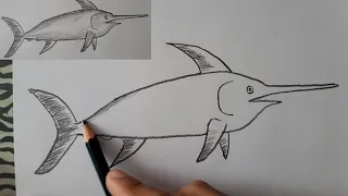 ¿Cómo dibujar un PEZ ESPADA? | How to draw a SWORDFISH?