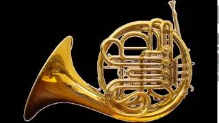 Joseph Haydn concerto for two horns - July 2010, Movement III