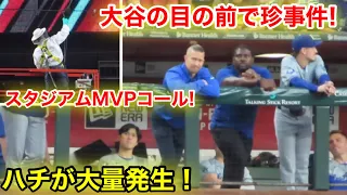 速報！大谷の目の前で珍事件！ハチ大量発生でスタジアムMVP大合唱コール！現地映像