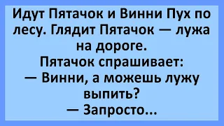 Идут Пятачок и Винни Пух по лесу.... Анекдоты смешные до слез! Юмор! Приколы!