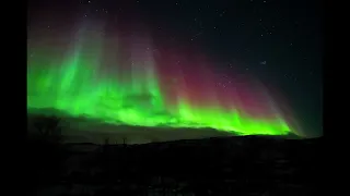 Tromsø - Aurora Borealis - february 2024
