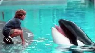 Free Willy (Main Title)