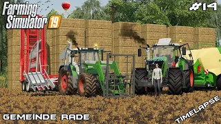 Baling 200 bales w/ MrsTheCamPeR | Animals on Gemeinde Rade | Farming Simulator 19 | Episode 14