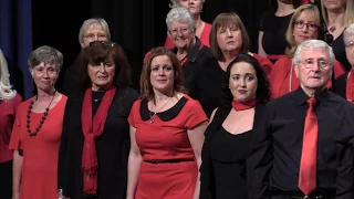 Barnsley Singers:  ABBA Medley (Andersson/Ulvaeus arr Bejstram)