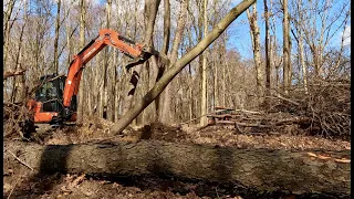 Hung Up Trees are no Fun, Even with Excavator