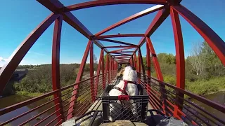 Fall ATV Ride with my Dog:  Huge Train Bridge and Trail Side Lunch !