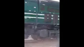 Animal accident to train