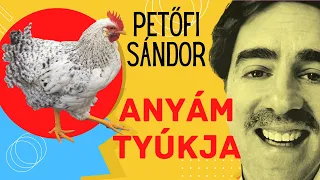 Petőfi Sándor: Anyám tyúkja (VERS mindenÁRON 2. rész)