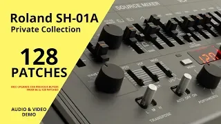 ROLAND SH-01A - 128 PATCHES (PRIVATE COLLECTION)