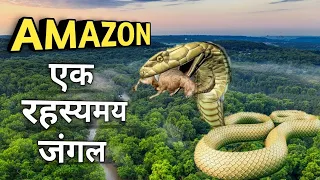 दुनिया का सबसे बड़ा जंगल 😱 Amazon Rainforest. World's Biggest Rainforest. #shorts #wildlife #amazon