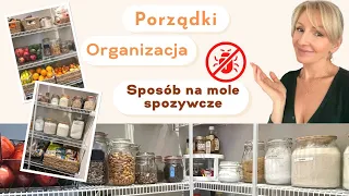 PORZĄDKI i ORGANIZACJA W SPIŻARCE / SZAFKACH KUCHENNYCH + SPOSÓB NA MOLE SPOŻYWCZE