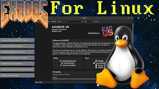 eXoDOS For Linux - Setup Guide & First Impressions