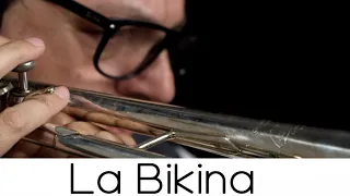 "La Bikina"  (Play with Me n.53)  -  Andrea Giuffredi trumpet