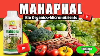 MAHAPHAL: फ़ल व सब्ज़ियों की पूरी सुरक्षा!! - Bio Organics and Micronutrients 🔥