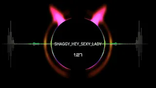 HEY_SEXY_LADY_SHAGGY__(DJ_JV_REMIX)