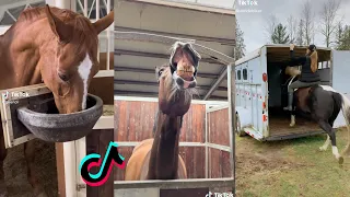 The Cutest HORSES TikTok Compilation 2022 #94