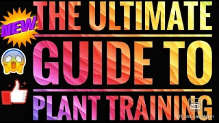 The Ultimate Beginners Guide to Plant Training and Shaping