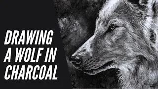 DRAWING A WOLF IN CHARCOAL- Daniel Wilson