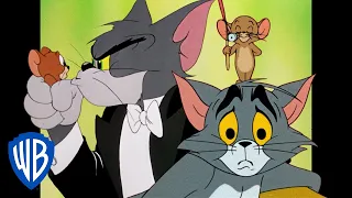 Tom y Jerry en Español 🇪🇸 | Tus rivales favoritos ❤️ | WB Kids