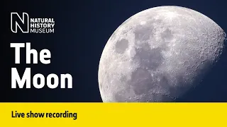 How the Moon Got It's Water | Live Talk with NHM Scientist