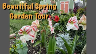 Full Spring Garden Tour with Vincent