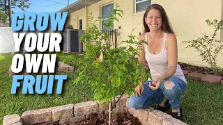 Planting Fruit Trees for MAXIMUM Growth and Harvest