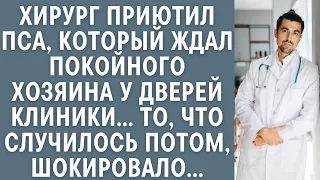 Хирург приютил пса, который ждал покойного хозяина у дверей клиники… Случившееся потом шокировало…