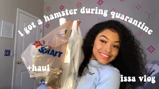 GETTING A HAMSTER VLOG...during quarantine