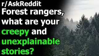 Forest rangers, what are your creepy and unexplainable stories? - r/AskReddit