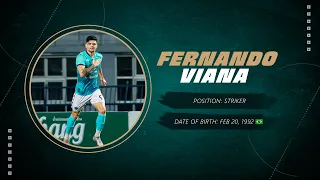 Fernando Viana | Striker