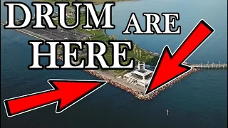 Old Man Out Fishes EVERYONE at This Busy Fishing Spot !!! | Drum Run SEAWOLF Park !!!