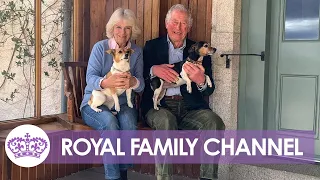 Meet Beth and Bluebell: The King and Queen’s Royal Rescue Dogs