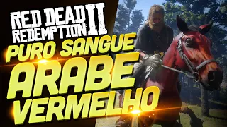 CONSEGUI Domar o PURO-SANGUE ÁRABE - VERMELHO em Red Dead Redemption 2 Finalmente!!! [ PS5 - 4K ]