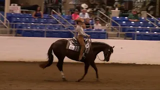 Judges Perspective: Youth Horsemanship