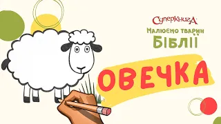 Малюємо тварин з Біблії | Овечка🐑