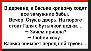 Деревенский Бабник Васька Кривой! Сборник Свежих Анекдотов! Юмор!