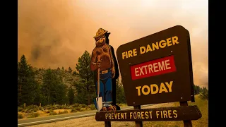Tamarack Fire: governors tour wildfire near Lake Tahoe