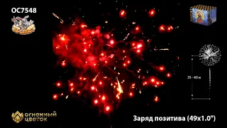 Фейерверк ОС7548 Заряд позитива (1" х 49)