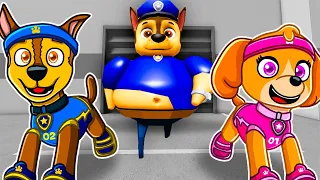 Chase & Skye ESCAPE EVIL PAW PATROL PRISON!