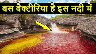 दुनिया की 10 सबसे खतरनाक नदियां | Top 10 Most Dangerous Rivers of the World