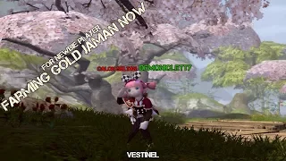 Dragon Nest INA Gold Farming Cap 95 For Newbie Player